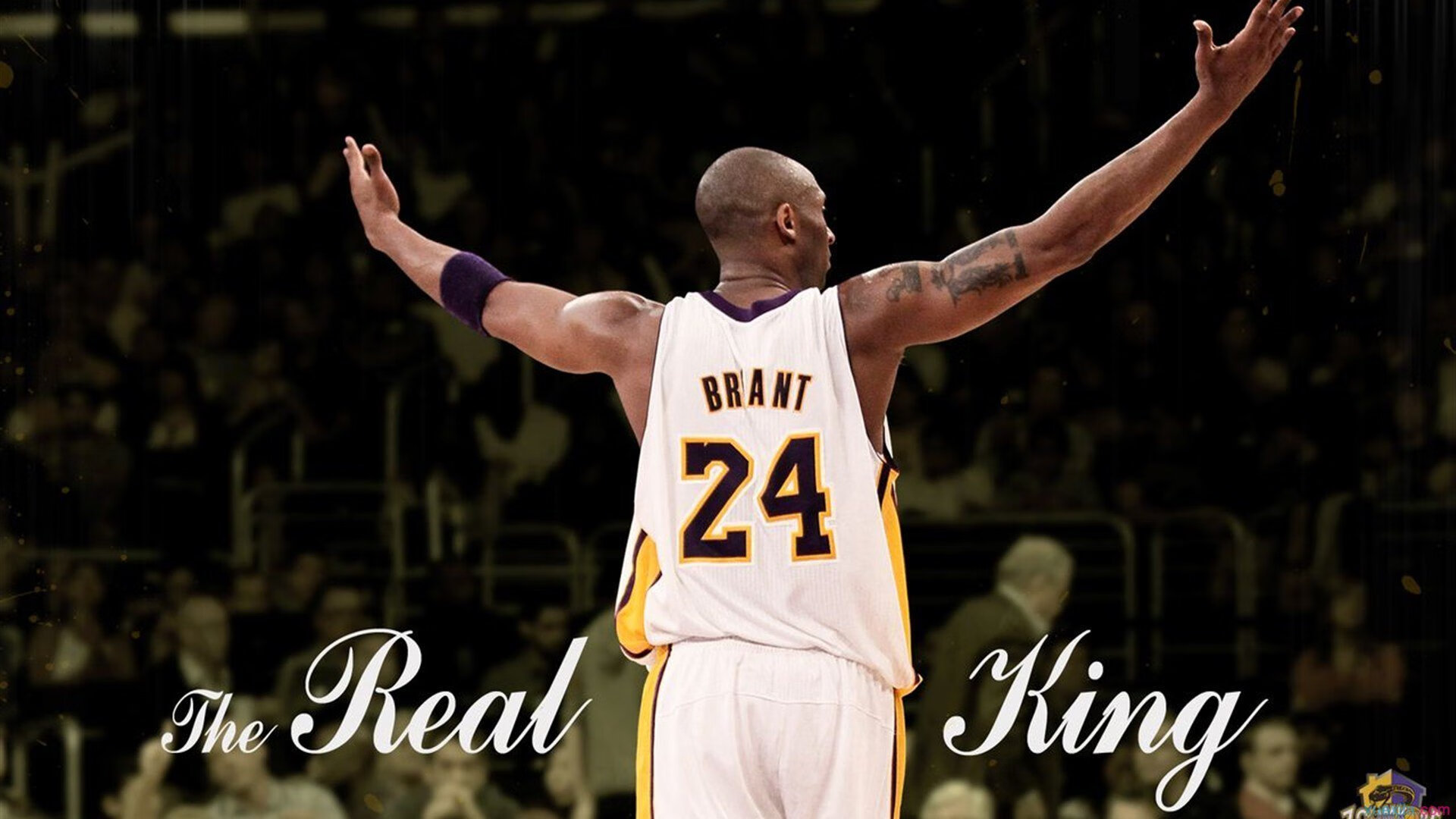 NBA球星生日活动引发球迷热情，互动频繁，nba明星生日